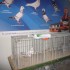 VOORJAARSBEURS EXPO HOUTEN NEDERLAND SAM