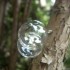 ho les belle bulles