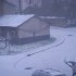 la neige! la neige!