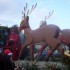doudou et le st nicolas