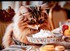 BON DIMANCHE  A  TOUTES ET A  