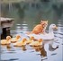 Bonjour  Bon  Vendredi A  tout