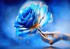 Bonjour  Bon   Vendredi a toutes  et a