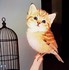 Bonjour  Bon jeudi a  toutes et a  tous