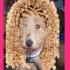 {Studio coiffure ,maquillages 