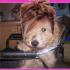 {Studio coiffure ,maquillages 