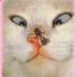 ♥♡☆ LOIS ESS