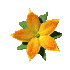 ♥♡☆{Test : QUELLE FLEUR 