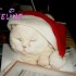 ★{CONCOURS DE NOEL A VOS