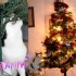 ★{CONCOURS DE NOEL A VOS