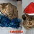 ★{CONCOURS DE NOEL A VOS