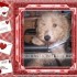 photos montages en ligne