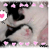 ♥{CONCOURS ST VALENTINVOTES}