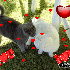 ♥{CONCOURS ST VALENTINVOTES}