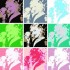 ♥{Transformez vos photos fa