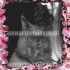 ♥{Faites vos photos mont