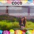 ♥{Faites vos photos mont