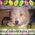 ♥{Faites vos photos mont
