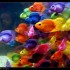 oOoO{POisson d'Avril}oOoOoOo