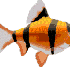 oOoO{POisson d'Avril}oOoOoOo