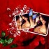 ♥{site de photo montage 