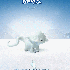 ♥{Jouez avec et adopter-