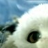 ♥{Jouez avec et adopter-