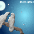 ♥{Personnaliser les gifs