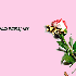 ♥{Personnaliser les gifs