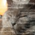 ♥{Chat Alors^^Doux week-end}