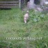 ♥{Chat Alors^^Doux week-end}