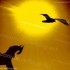 ♥{Astrologie Africaine}♥
