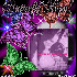 ♥{Photo montage Imikimi comm