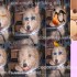 ♥{site pour s 'amuser avec s