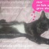 ♥{Doux week-end: Feu d'Artif