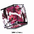 ♥{Site photo montages et ani