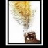 ♥{Doux week-end parfum Coco;