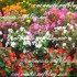 ♥{L'Italie: photos & vid