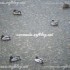 ♥{L'Italie: photos & vid