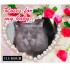 ♥{site photo montage en lign