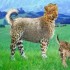 ♥{site créations jeux anima