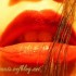 ♥{doux week-end^^séance pho