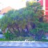 ♥ {Albenga Italie: photos et