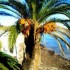 ♥{Doux week-end :palmiers,me