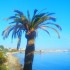 ♥{Doux week-end :palmiers,me