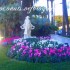 ♥*♥{Italie San Remo ^^}♥
