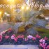 ♥*♥{Italie San Remo ^^}♥