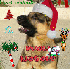 ♥{Concours de Noel 2008 à v