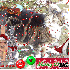 ♥{Concours de Noel 2008 à v