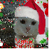 ♥{Concours de Noel 2008 à v